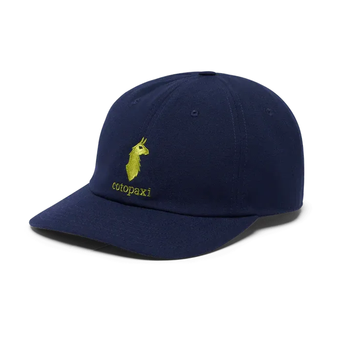 Cotopaxi - Dad Hat