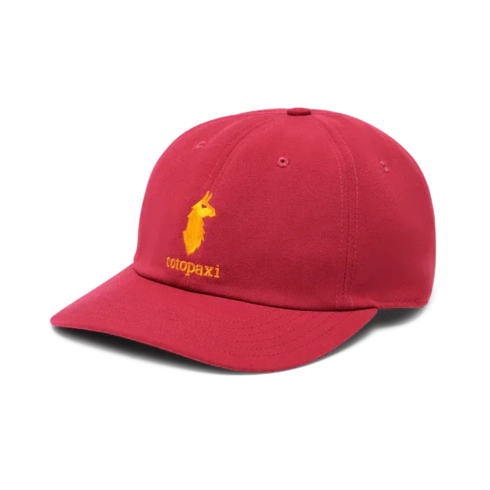 Cotopaxi - Dad Hat